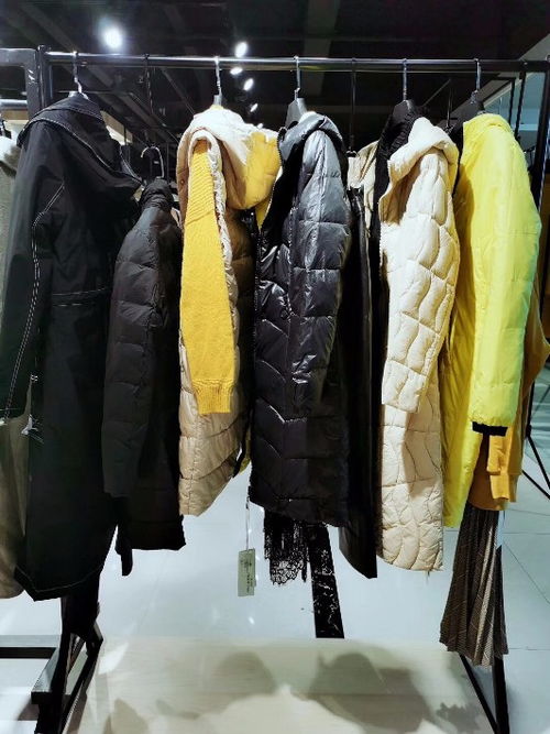 【廣東品牌折扣女裝羽絨服專賣店網店庫存商品廠家批發(fā)貨源】-